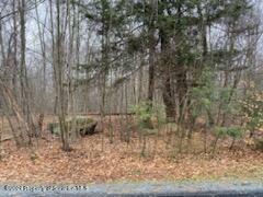 Property Photo:  Rainbow Run Lot 61  PA 18424 