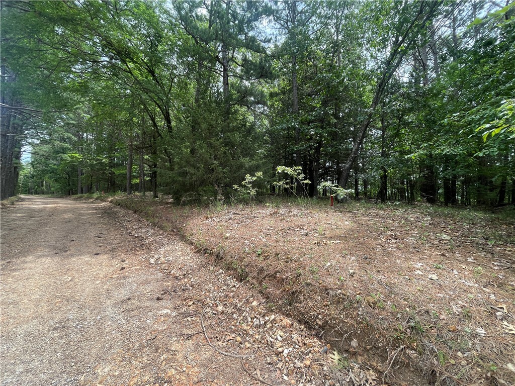 Tract 3 Pinewoods Drive  Rogers AR 72756 photo