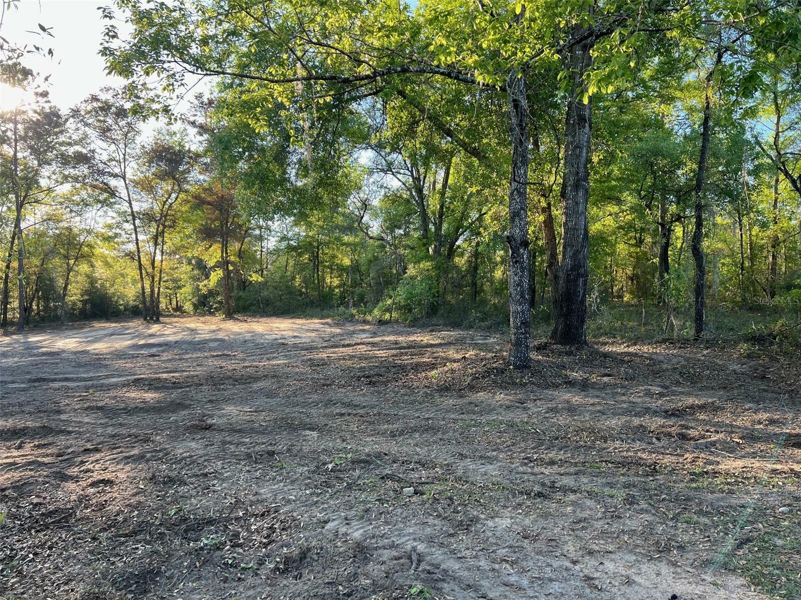 Property Photo:  Tbd NE 95th Avenue  FL 32621 