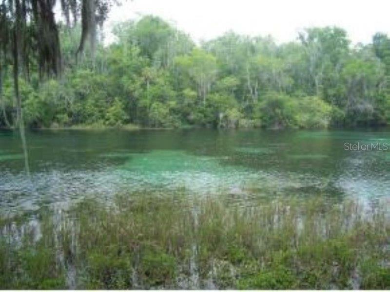 Property Photo:  Lot 1 SW 130th Court  FL 34432 