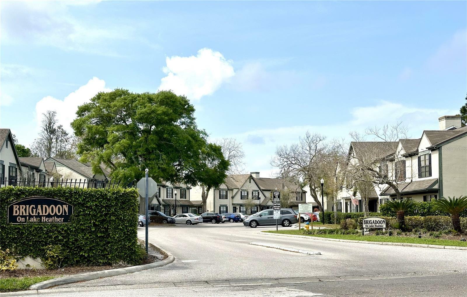 Property Photo: 16518 Brigadoon Drive FL 33618