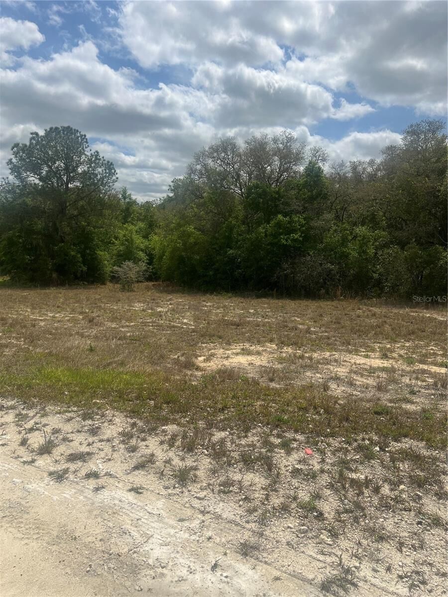 Property Photo: Cleft Rock Street FL 33597