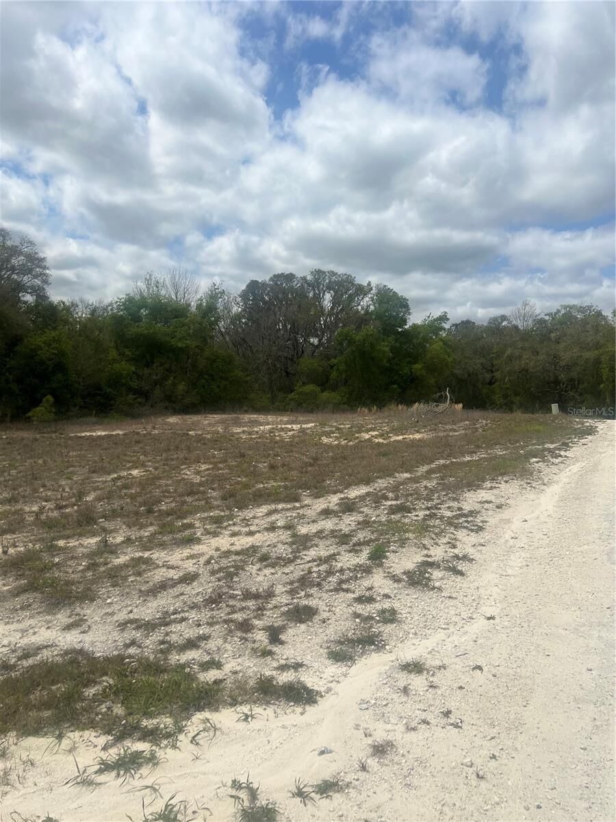 Property Photo:  Cleft Rock Street  FL 33597 