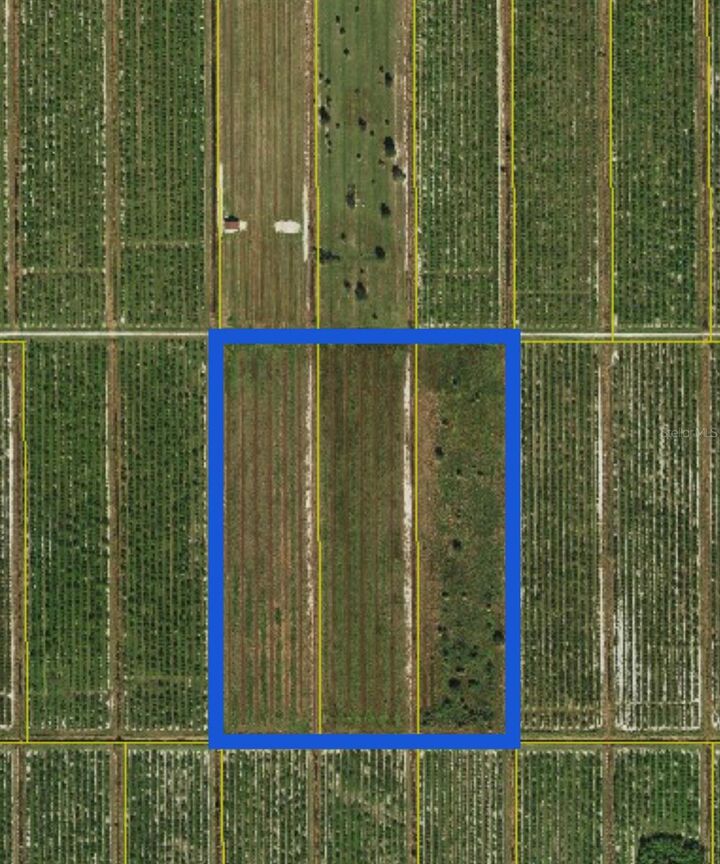 NE Highway 70  Arcadia FL 34266 photo