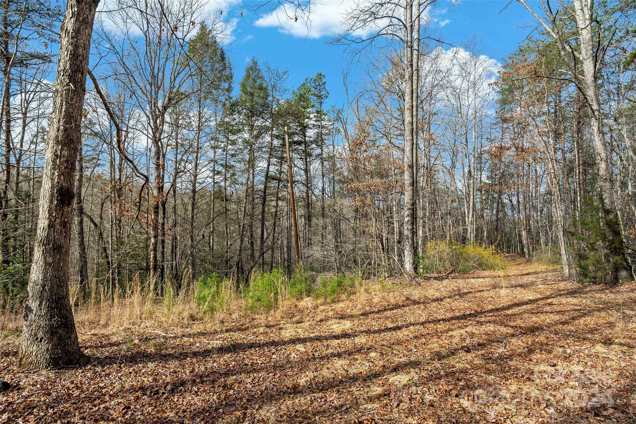 Property Photo:  Vl W Payne Road  NC 28752 