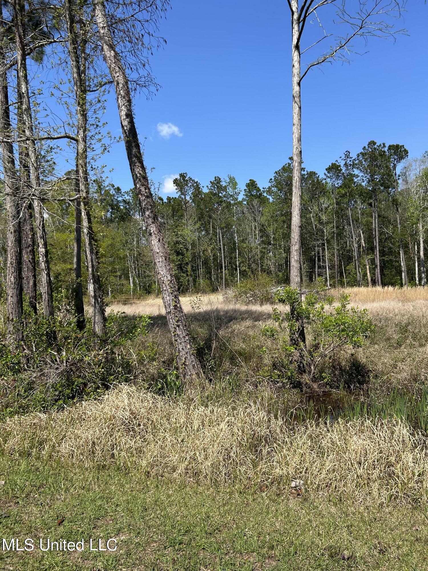 Property Photo:  Riverwalk  MS 39540 