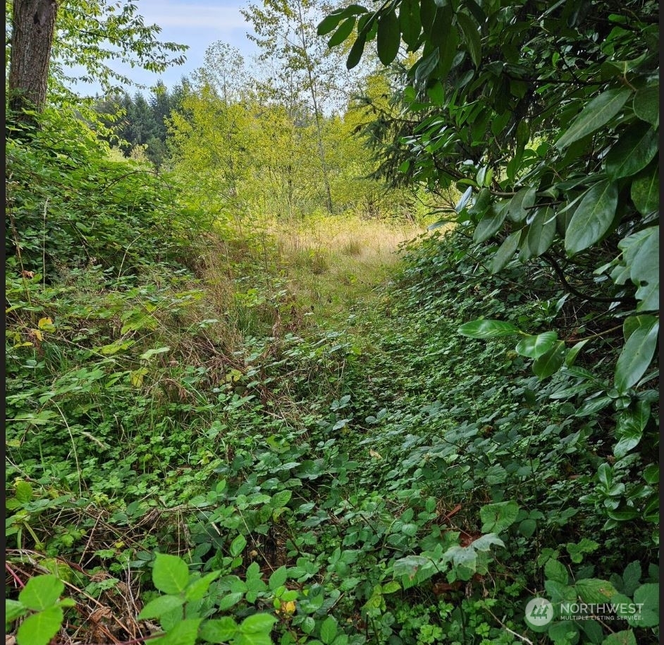 Property Photo:  3724 116th Avenue NE  WA 98004 