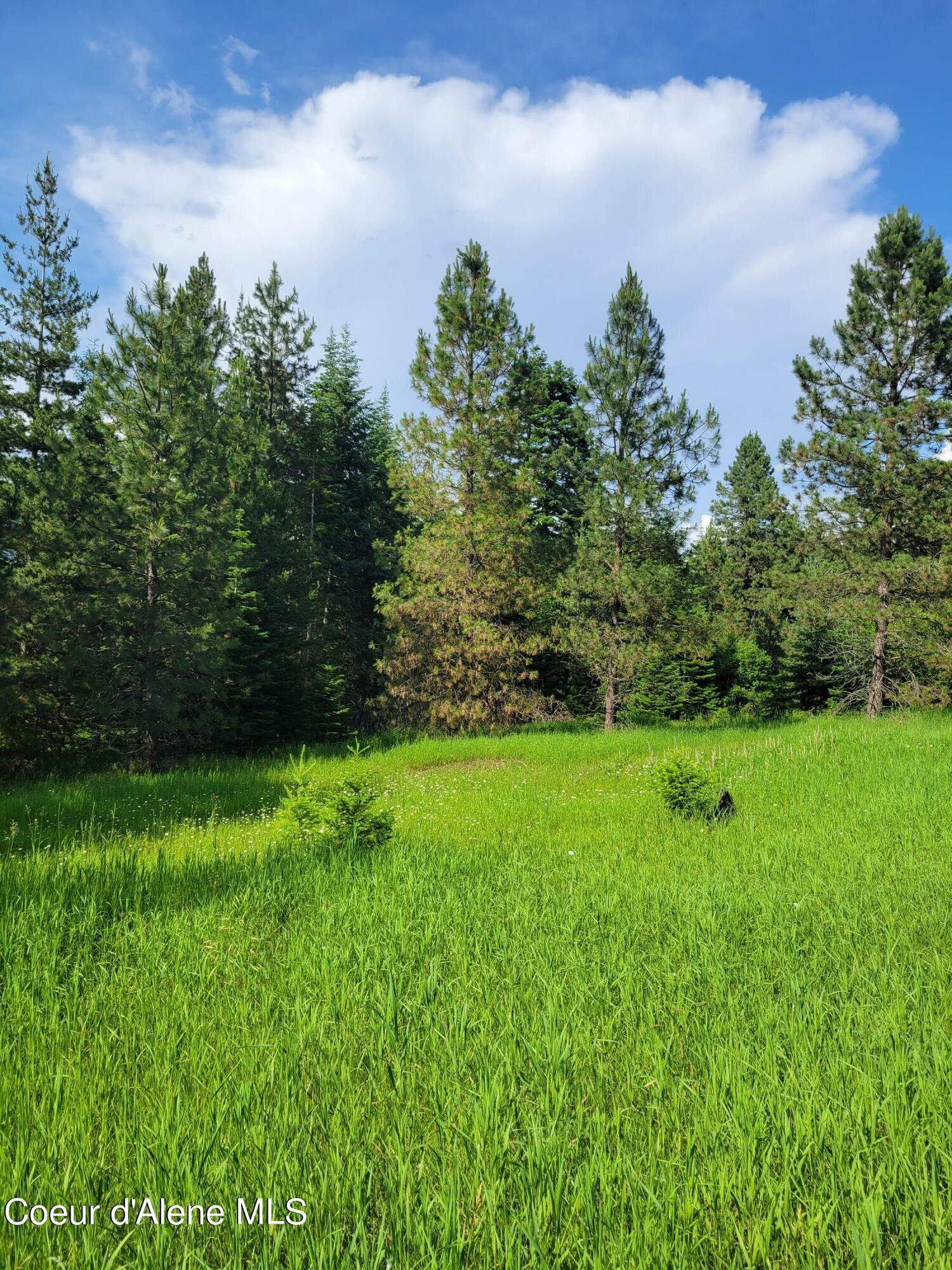 Nka Hanna Lane Lot 2  Coeur D'Alene ID 83814 photo