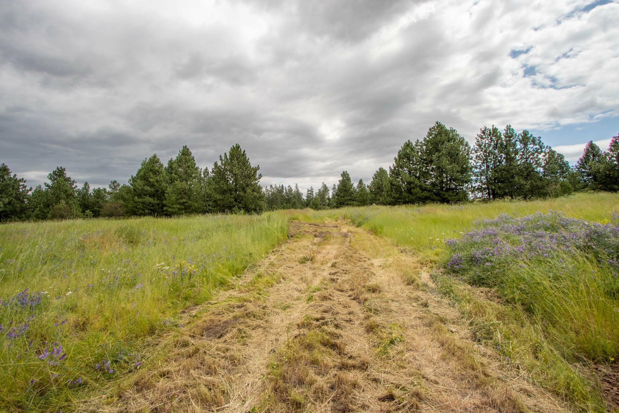 Property Photo:  Xx Vacant Land Lot 4 Orchard Heights 14242.0173 Rd  WA 99004 