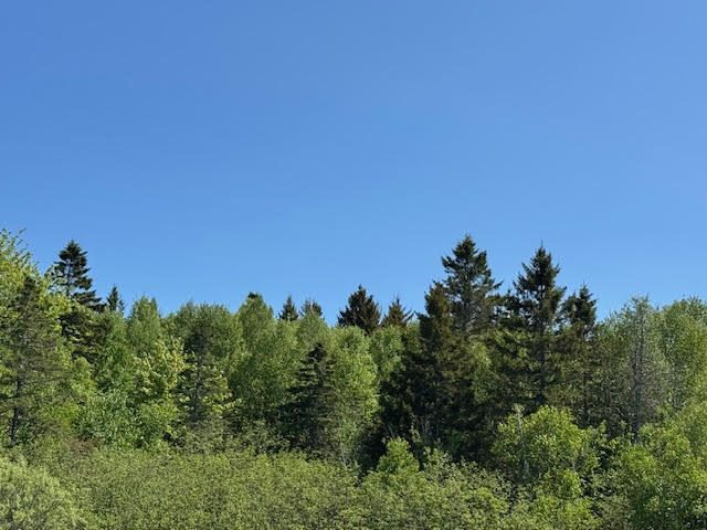 Property Photo:  104 County Road  ME 04631 