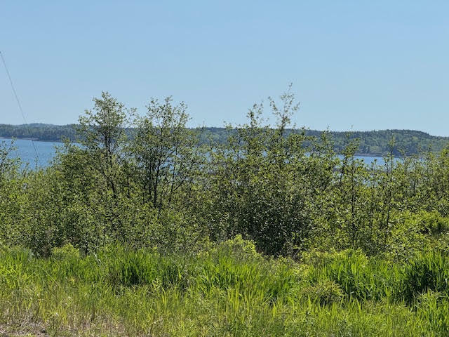 Property Photo: 7 Deep Cove Road ME 04631