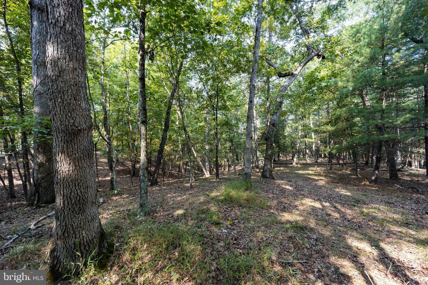 Property Photo:  Lot 12 Broomgrass Way  WV 25420 