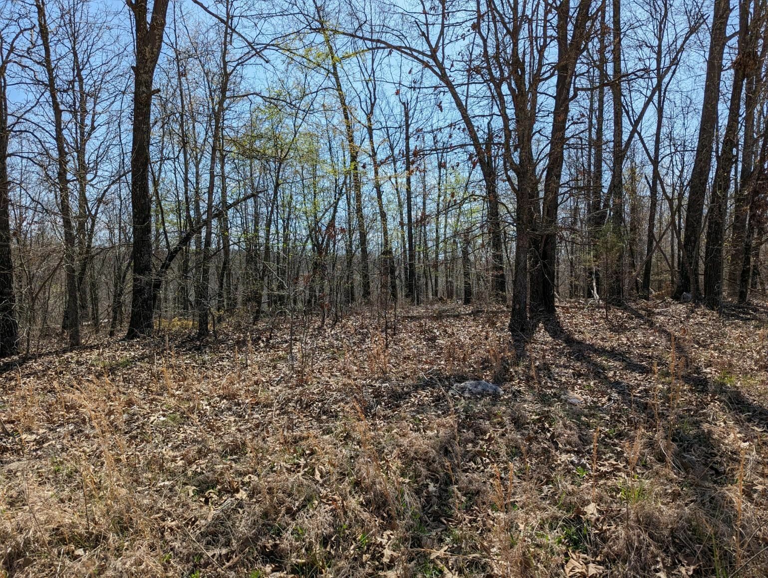 Property Photo: Tbd Wuthering Heights Drive AR 72513