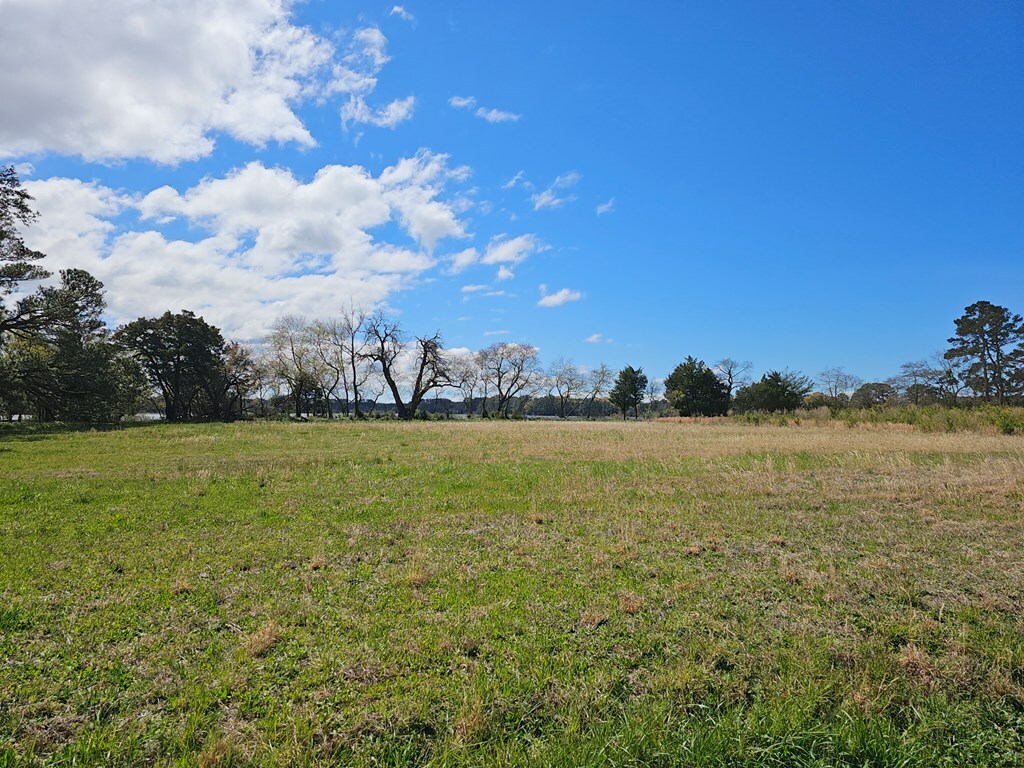 Property Photo:  Lot 1 Cedar Grove Drive  VA 23420 