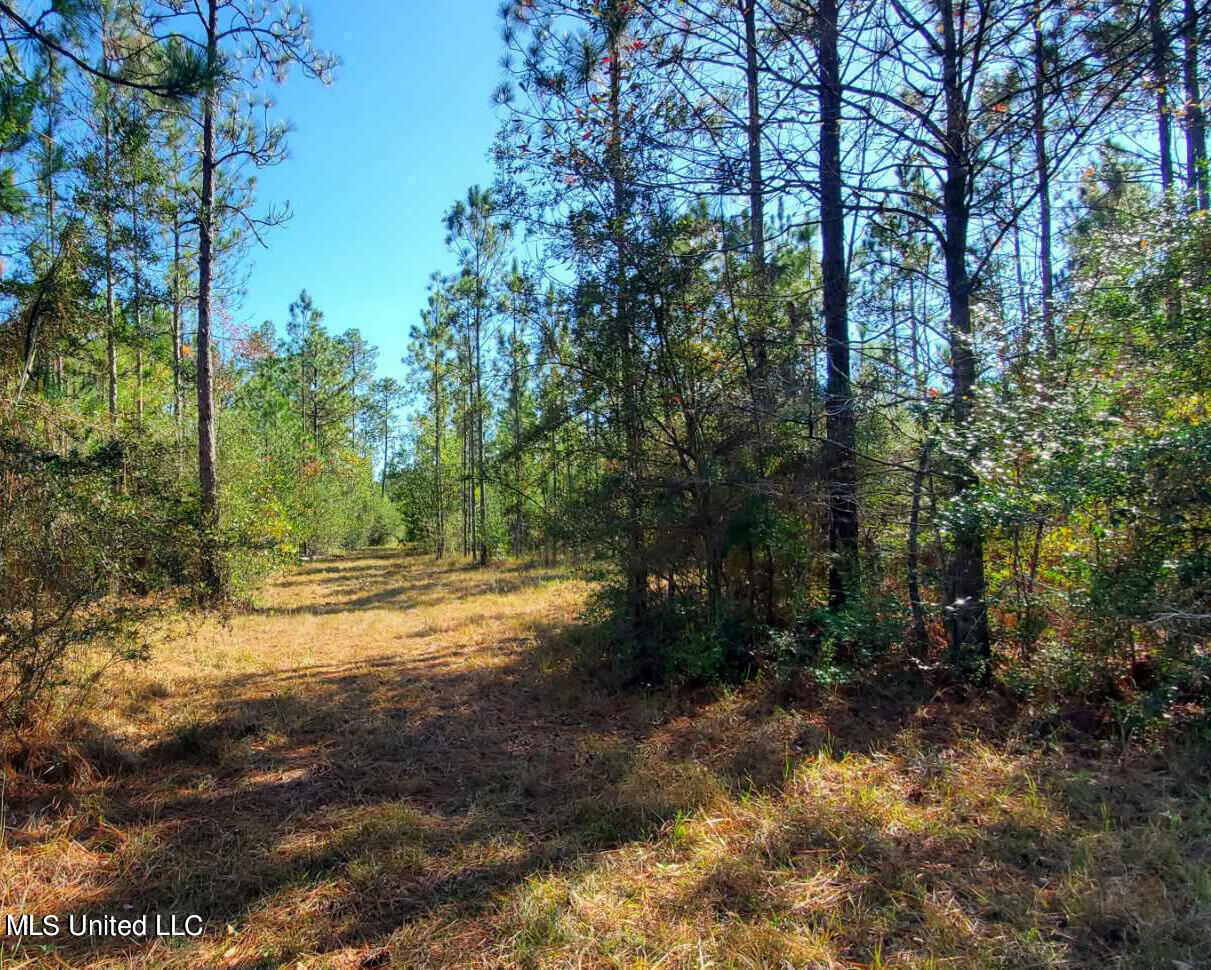 Property Photo:  0 Tim Bradley Road  MS 39574 