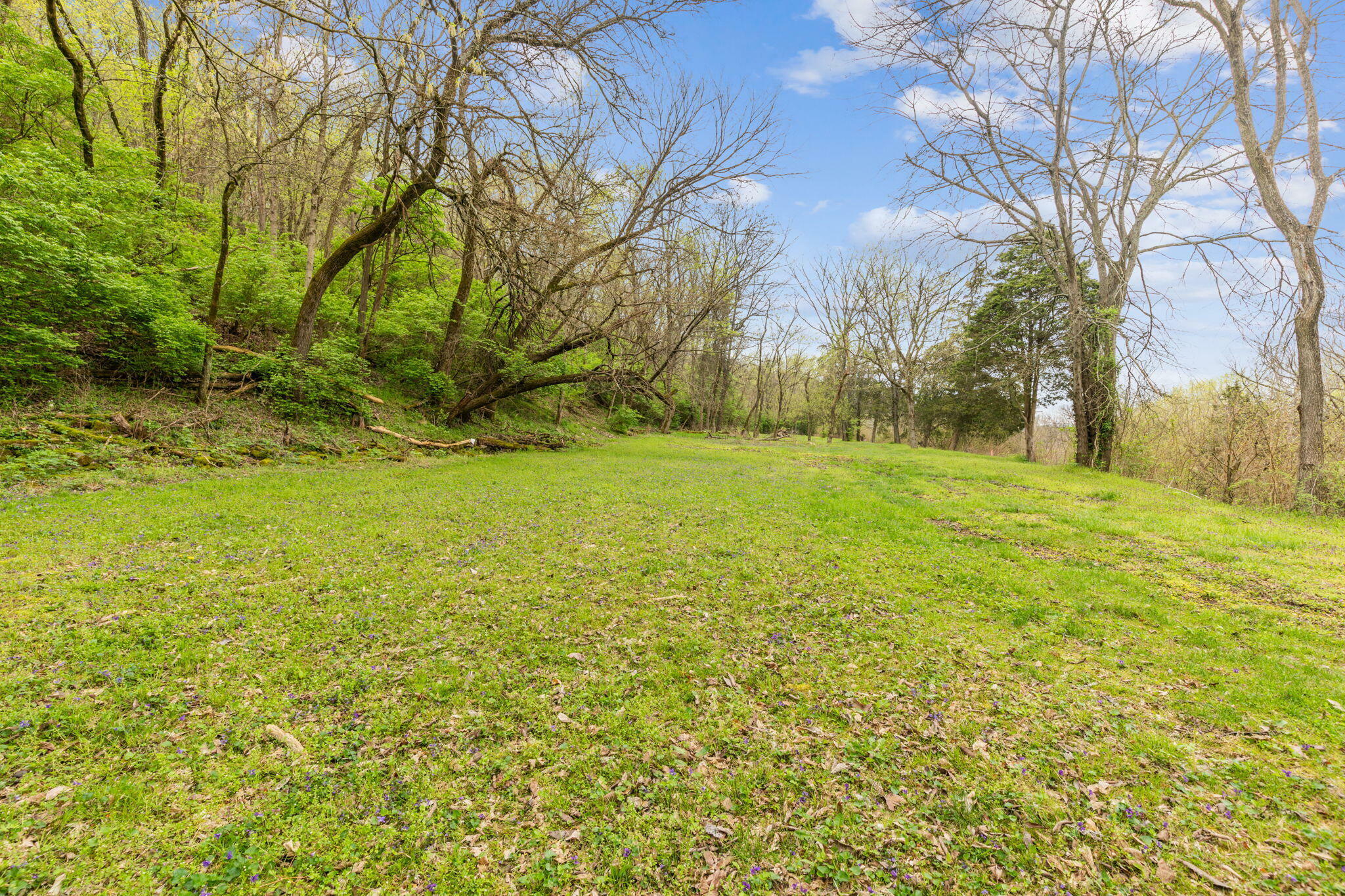 Property Photo:  4231 River Road  KY 41048 