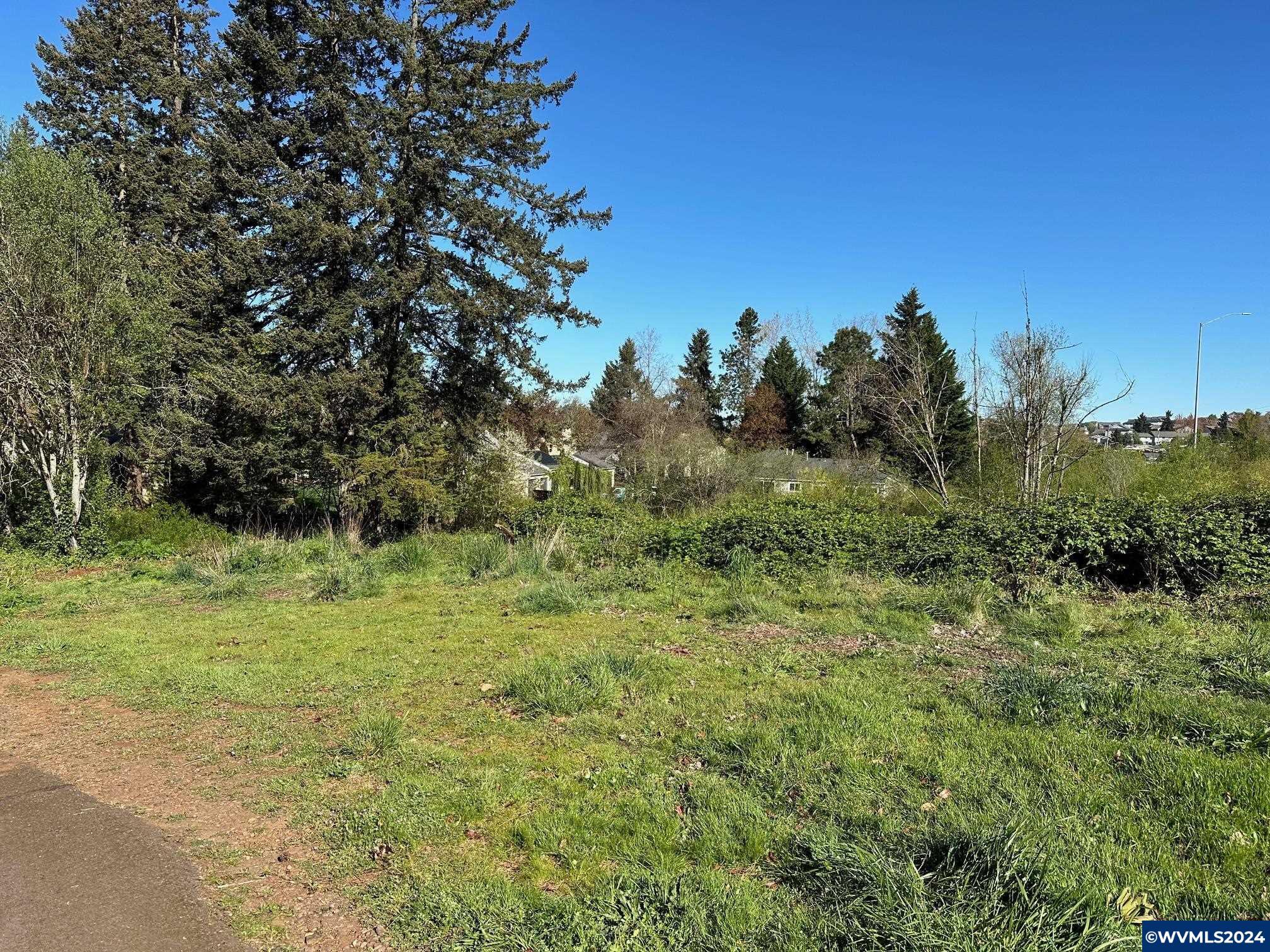 Property Photo:  Off Spicetree Ln  OR 97306 