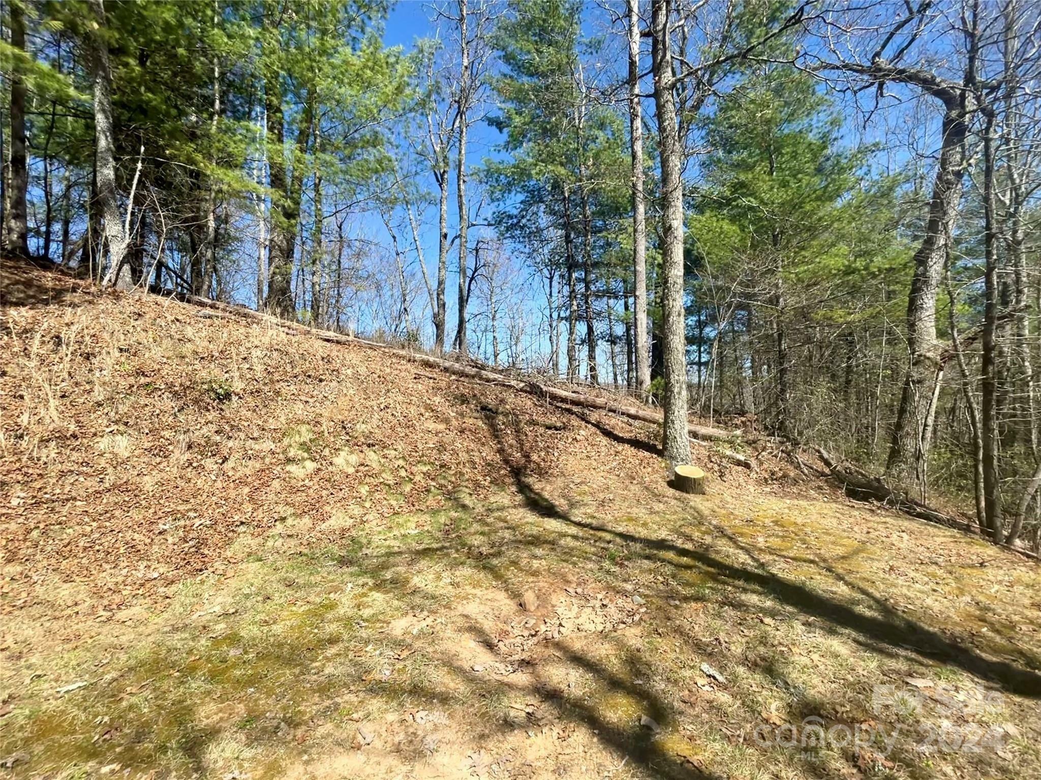 Property Photo: Lot 3 On Saturn Way 3 NC 28781