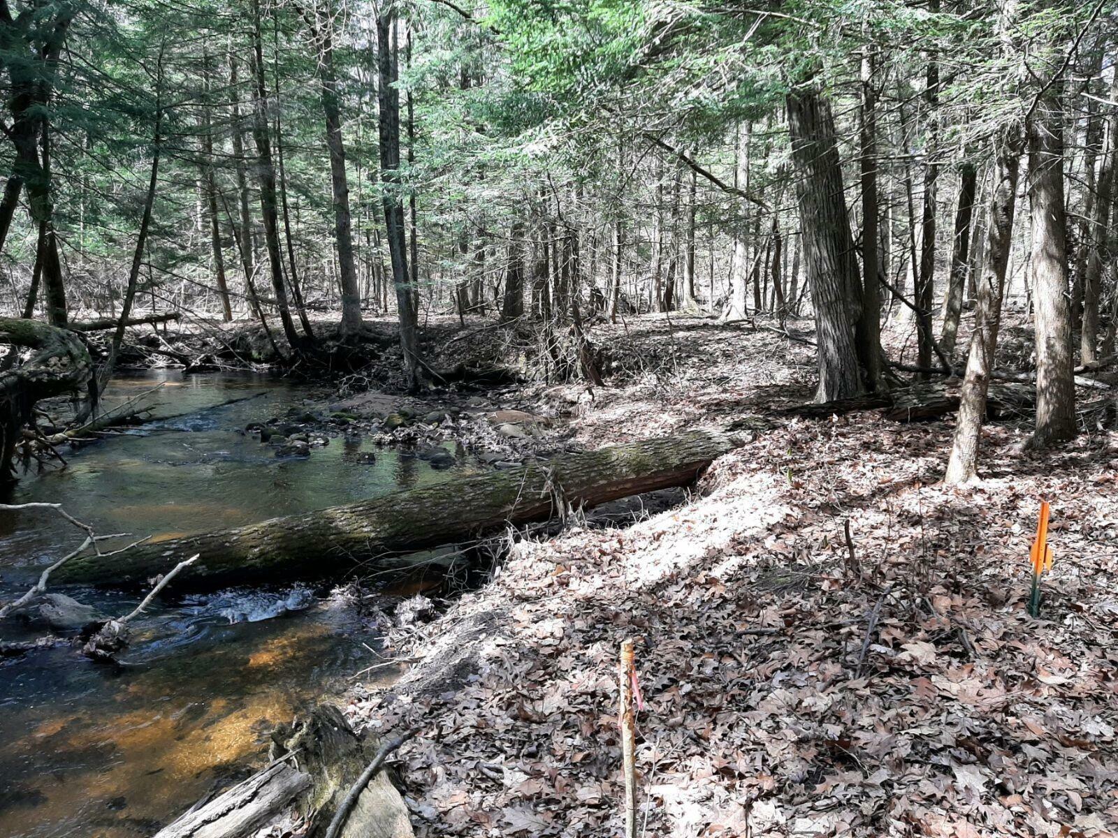 Property Photo:  Lot C M40  MI 49010 