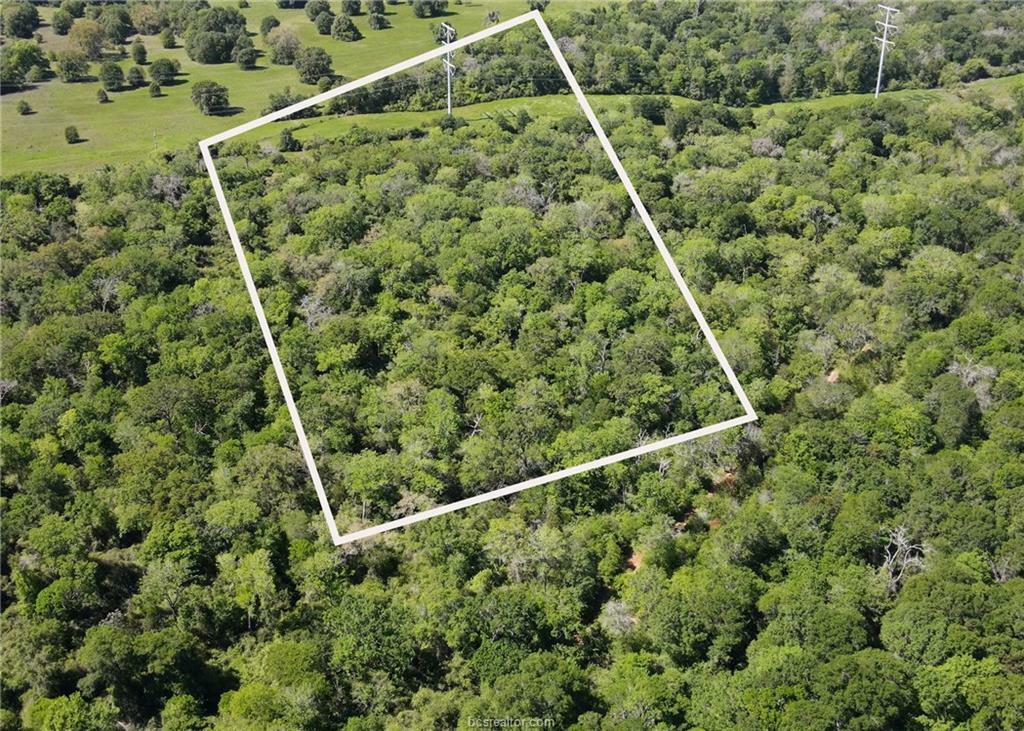 Property Photo:  Tba West Caney Road  TX 77871 