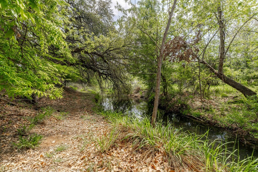 Property Photo:  --- Alton Klier Ln  TX 78624 