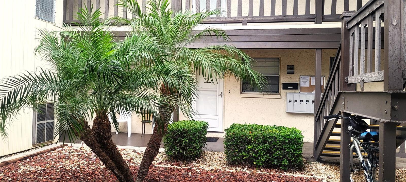 Property Photo:  4515 Marine Parkway 105  FL 34652 