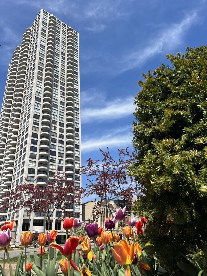 2020 N Lincoln Park West 22L  Chicago IL 60614 photo