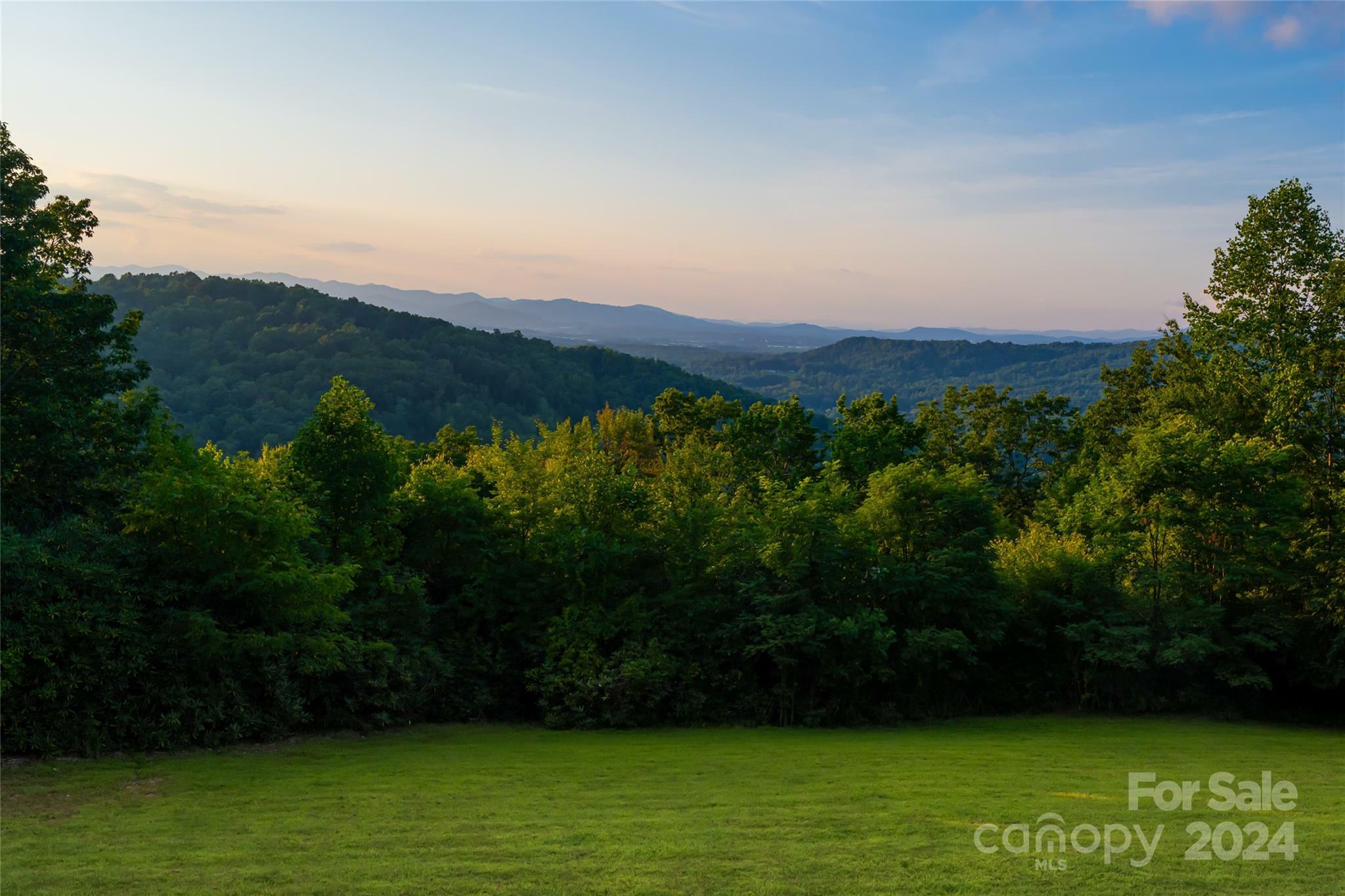 Property Photo:  1040 James Estate Lane  NC 28739 