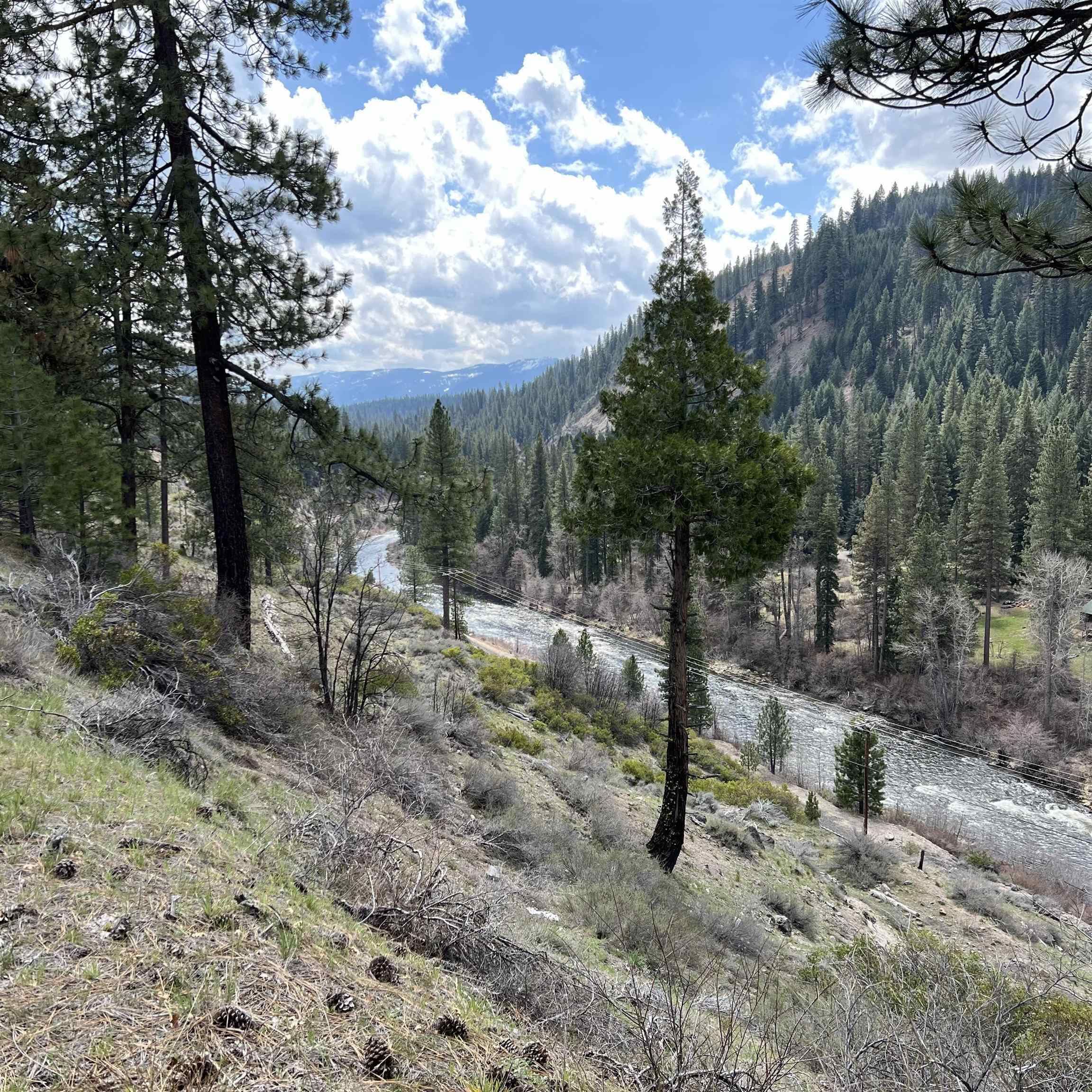 Property Photo:  1911 Pathfinder Trail  CA 95971 