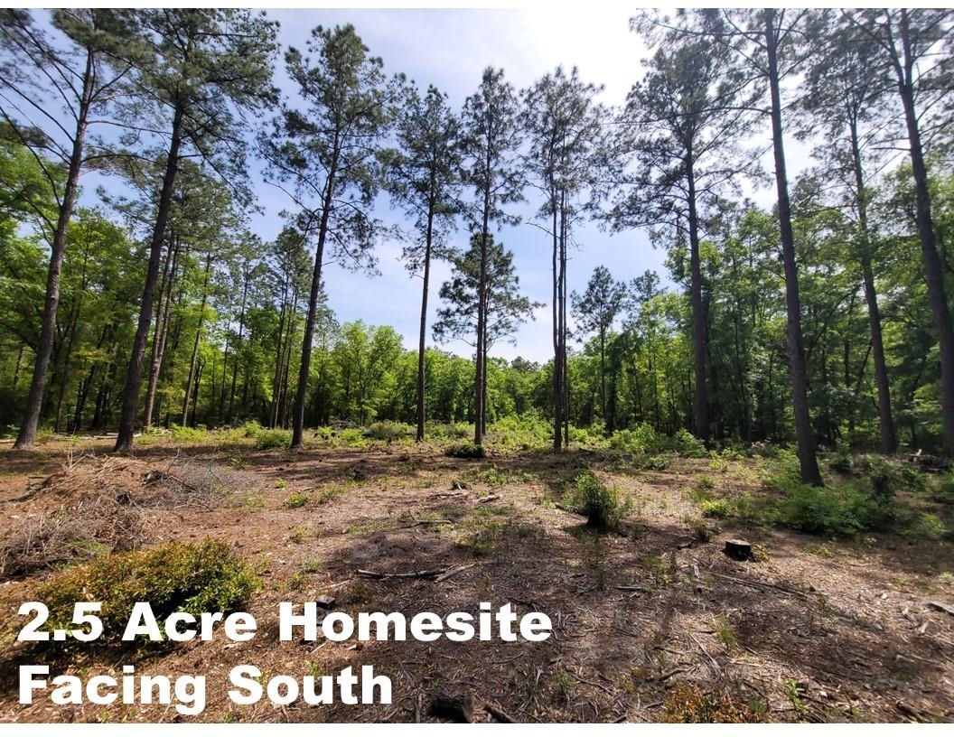 Property Photo:  Tract E Lutterloh Road  FL 32305 