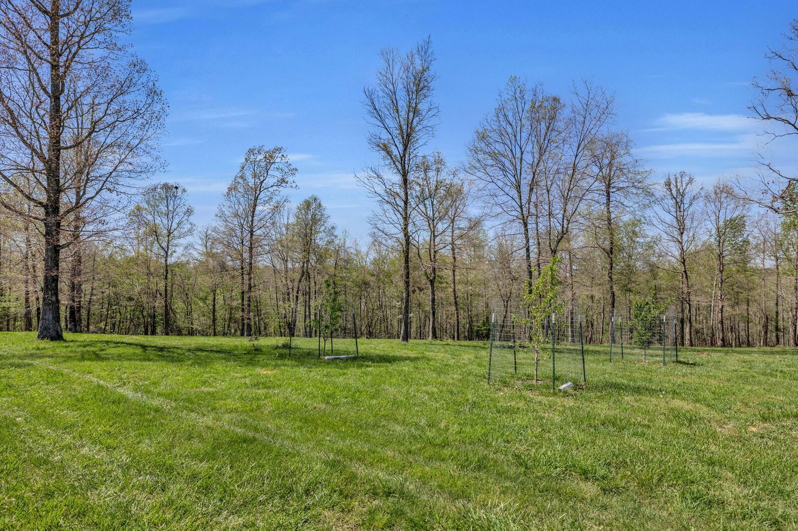 Property Photo:  7850 W Lick Creek Rd  TN 38476 