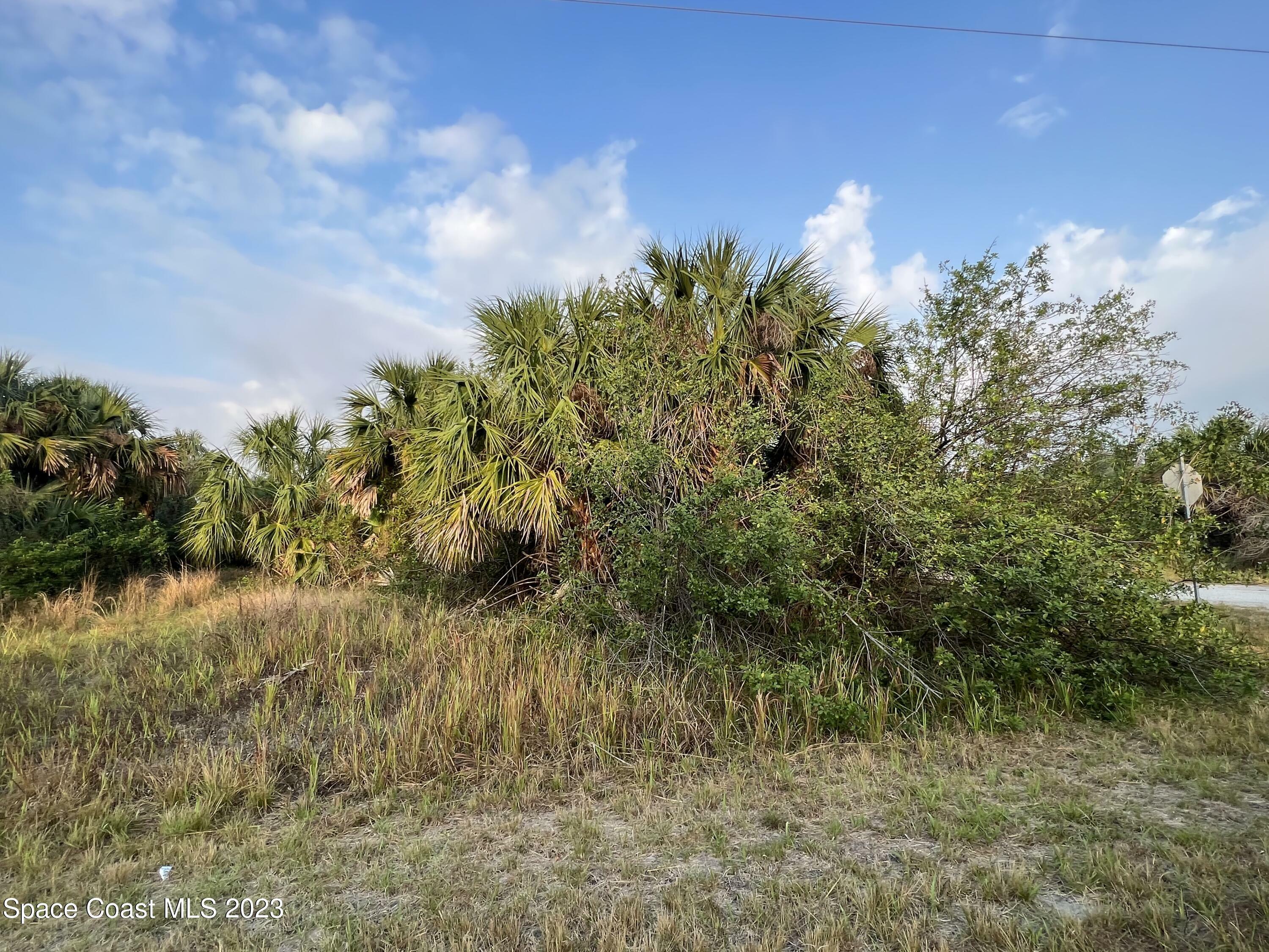 Property Photo:  2044 Alwar Avenue  FL 32908 