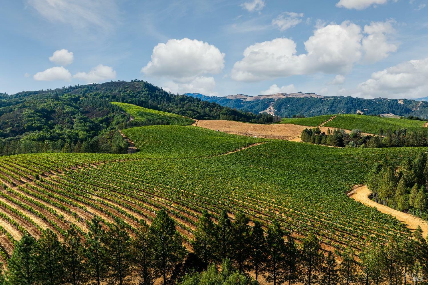 9965 W Dry Creek Road  Healdsburg CA 95448 photo