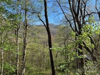 Property Photo: 7A Chestnut Flats Lane 7 NC 28786