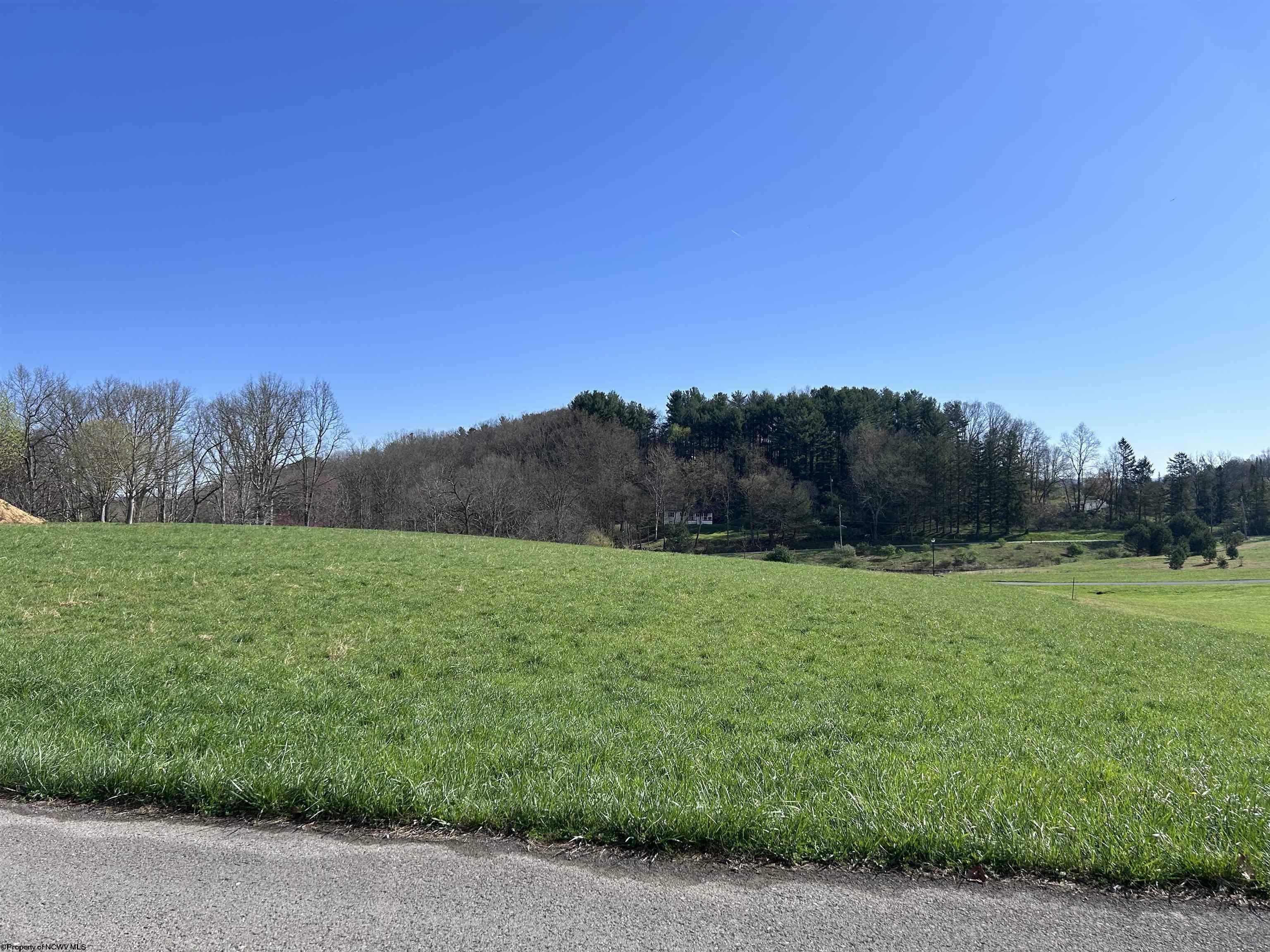 Property Photo:  Lot 36 Hayfield Loop  WV 26241 