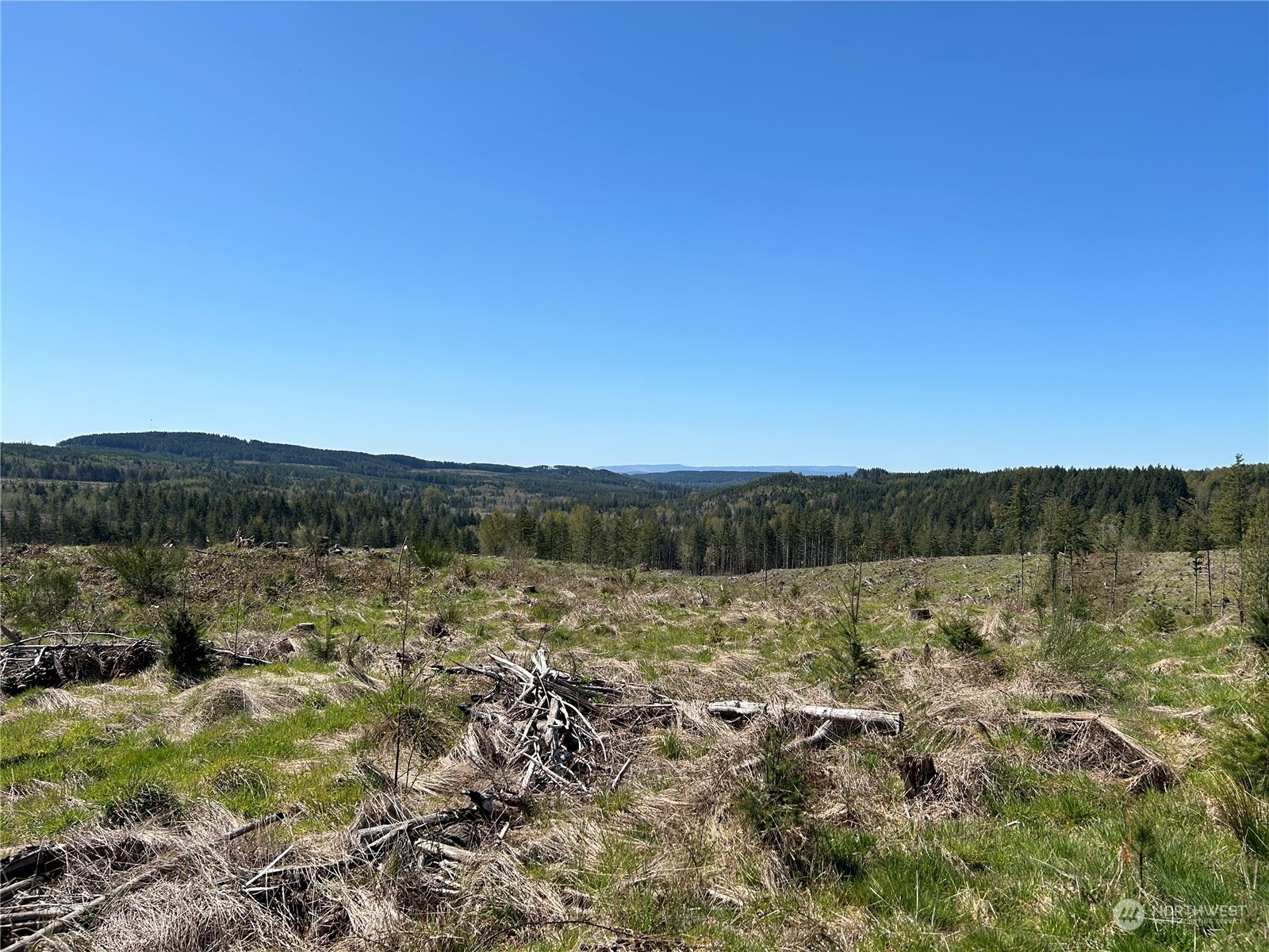 Property Photo:  0 Nka Cedar Creek Road  WA 98651 