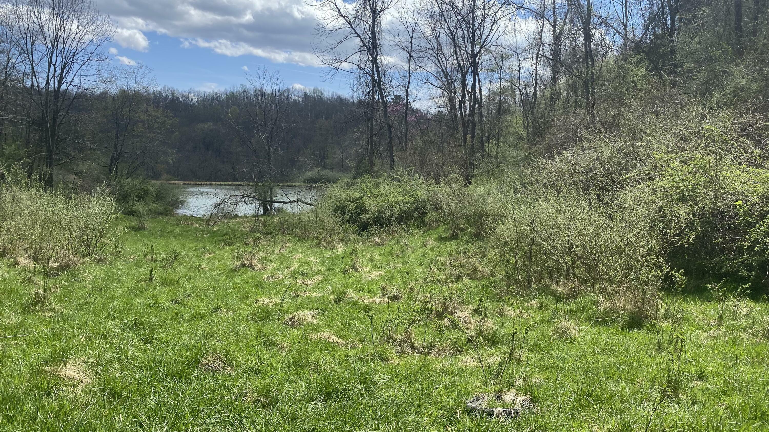 Property Photo:  315 Curry Rd  WV 24970 