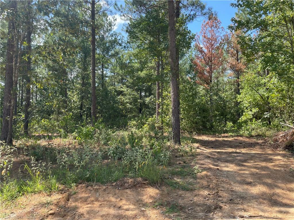 Property Photo:  51 Cedar Hills Trail  OK 74728 