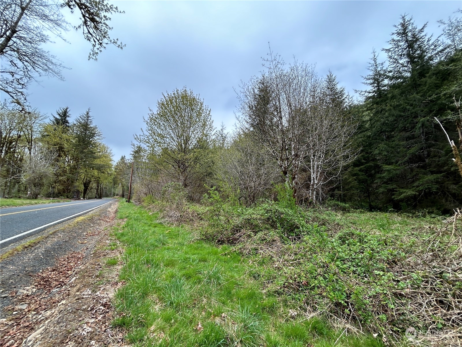 0 Lot 4 Abernathy Creek Road  Longview WA 98632 photo