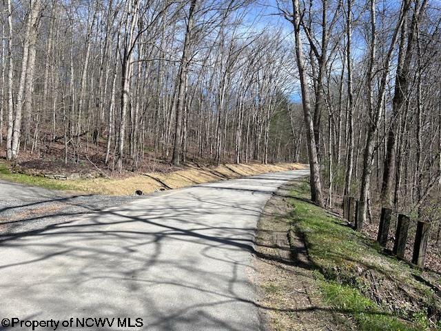 Property Photo:  Lot 30 Woodland Drive Beverly Hills  WV 26241 