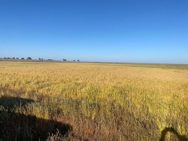 Property Photo:  0 Private Road 1420  TX 79382 