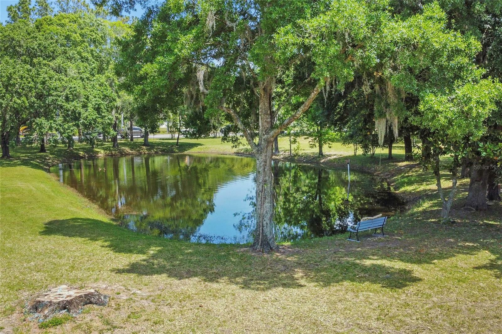 Property Photo:  21010 Wolf Branch Road  FL 32757 