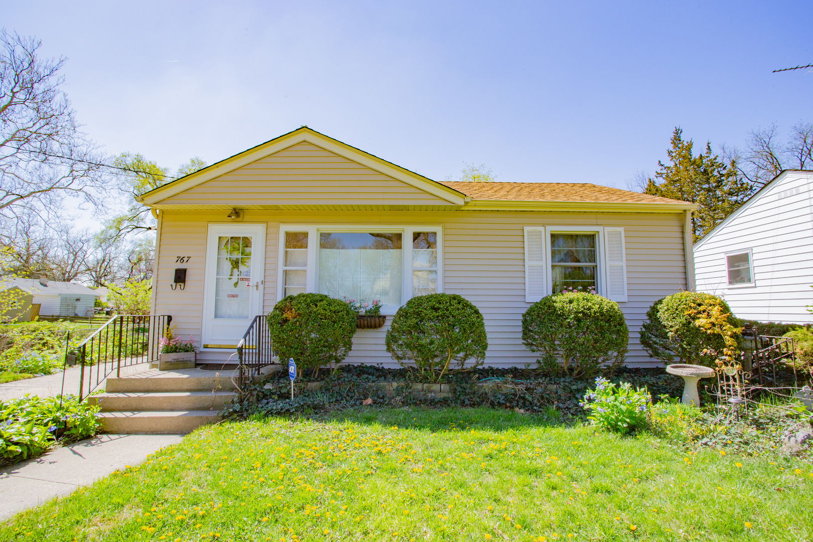 Property Photo:  767 Goethe Street  IL 60123 