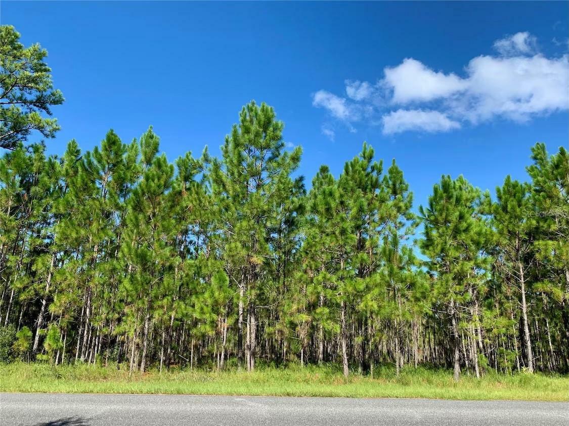 Property Photo:  8 Jericho Trail  FL 32736 