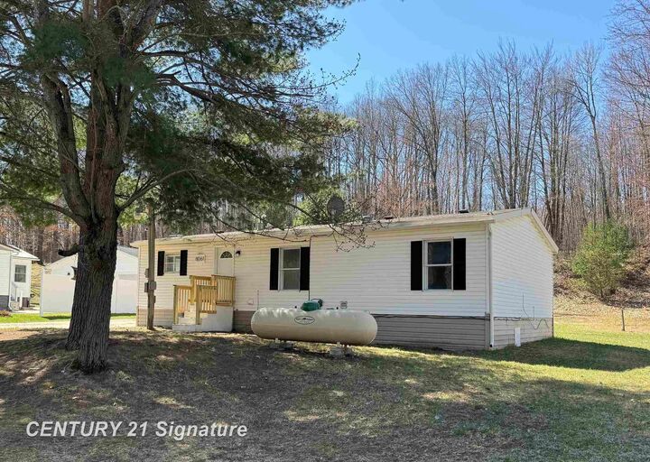 8061 Oak Street  Lake MI 48632 photo