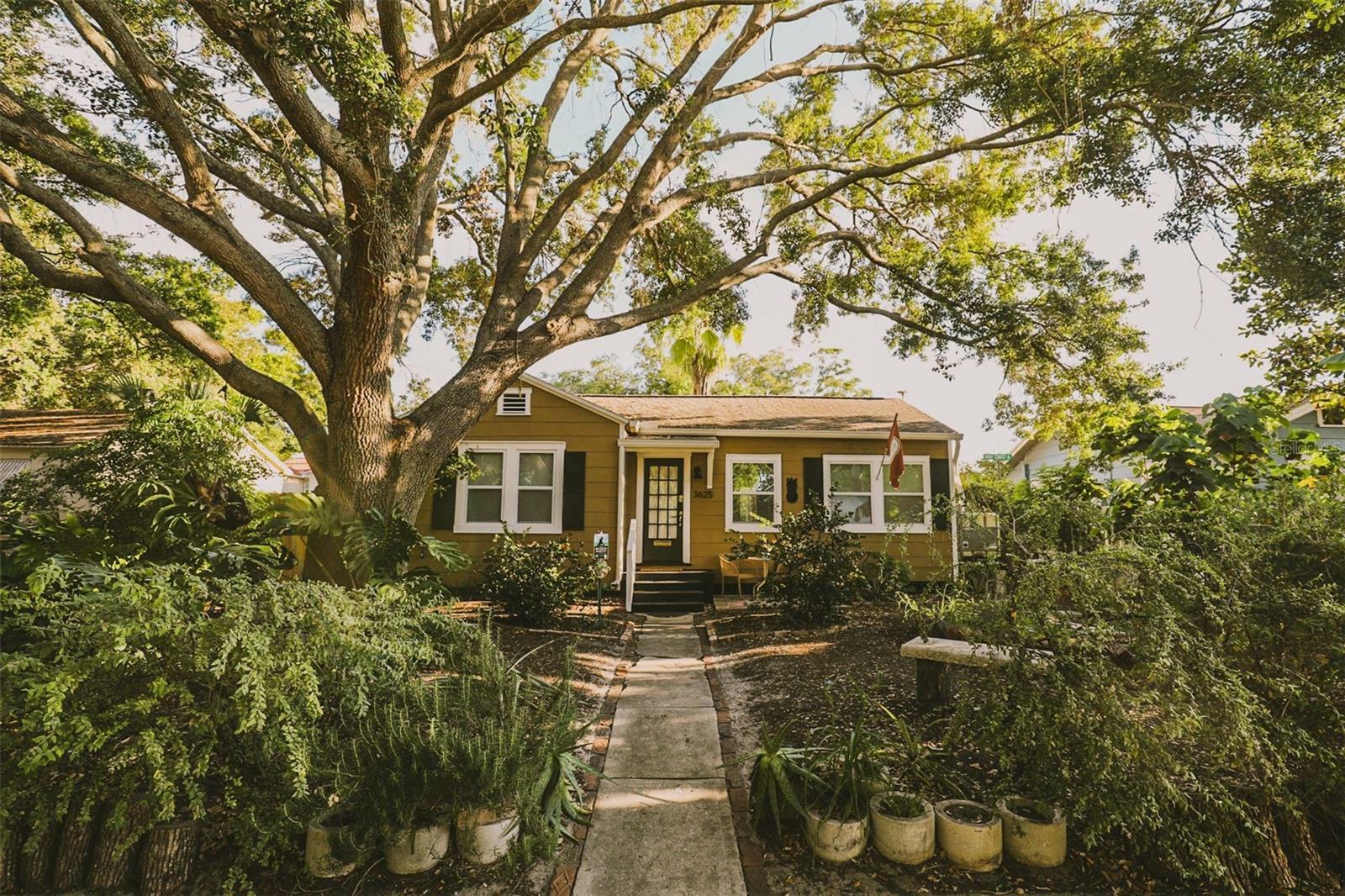 Property Photo: 3625 Dartmouth Avenue N FL 33713