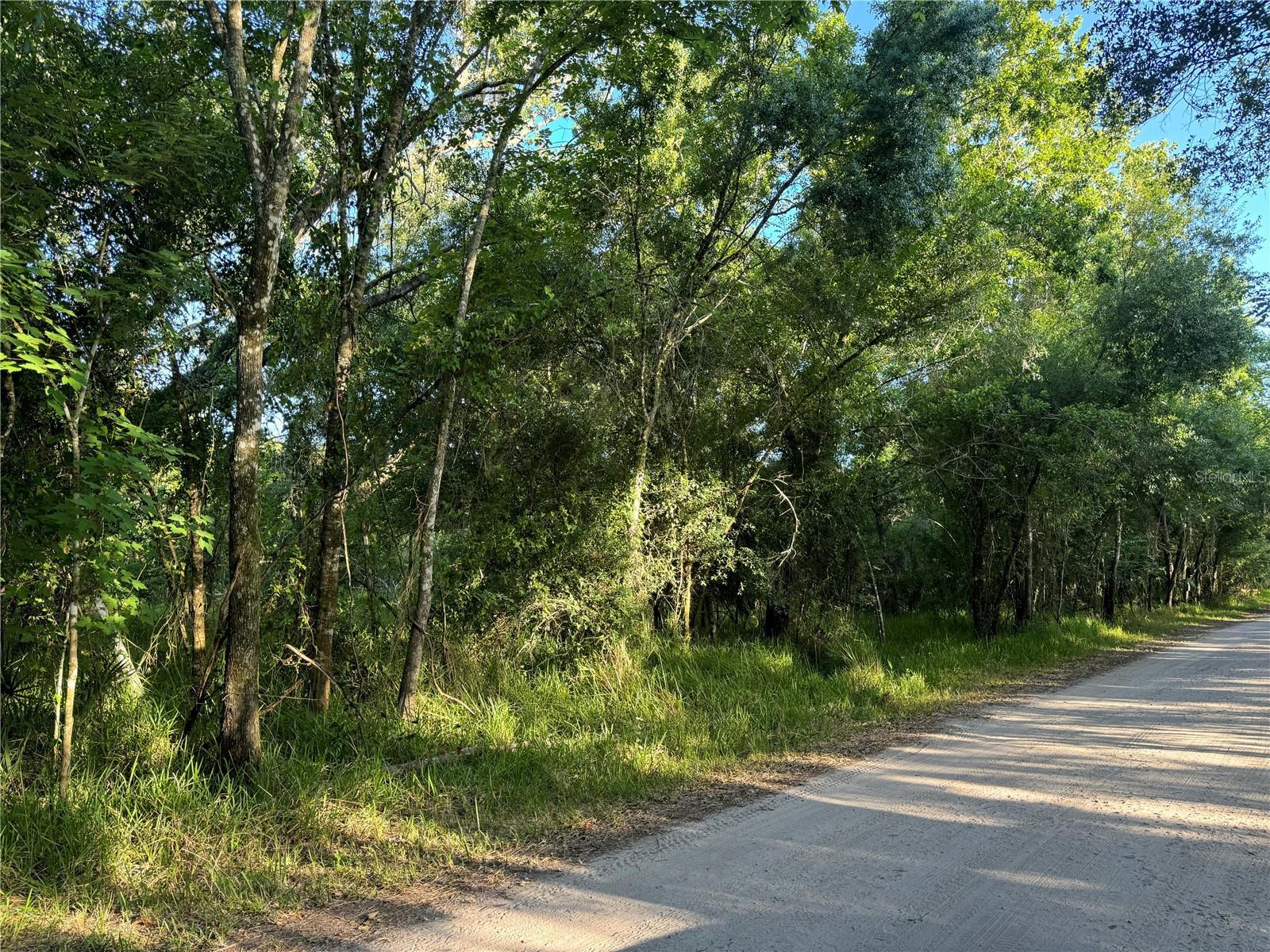 Property Photo: 0 NE River Ridge Avenue FL 34266