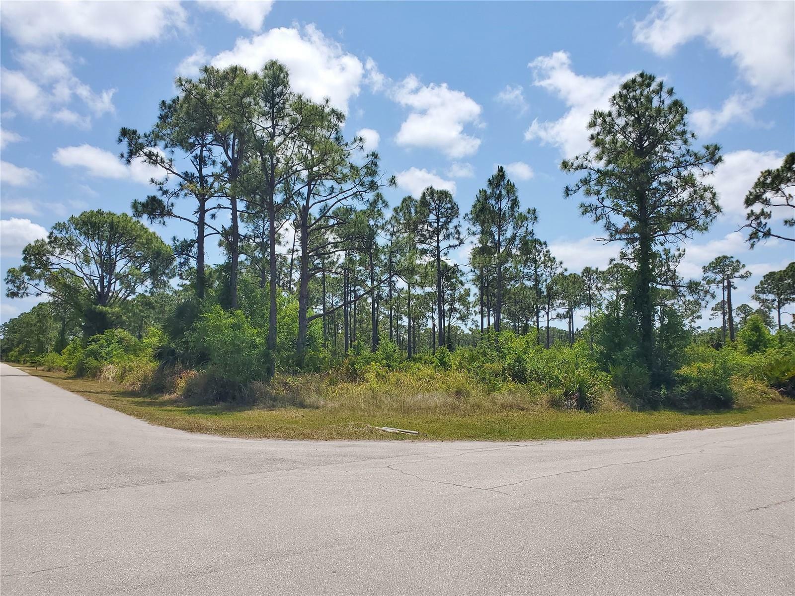 Property Photo: 13200 Minnesota Avenue FL 33955