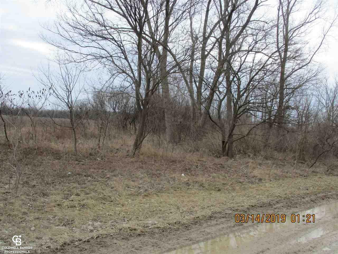 Property Photo:  00 Armada Ridge Parcel 6  MI 48062 