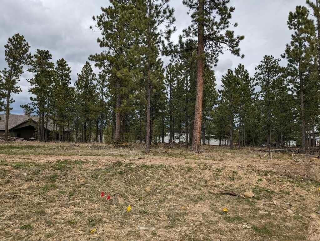 Lot 8 Block4 Candlewood Court  Lead SD 57754 photo